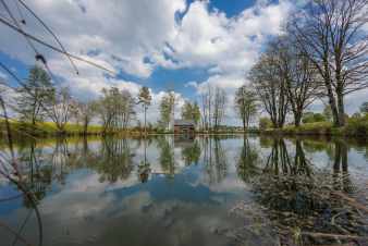 Modernes Chalet mit Teich in den Ardennen fr 4 Personen