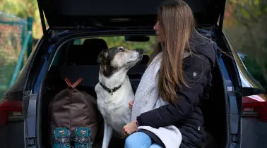 Mein Hund kommt mit!   