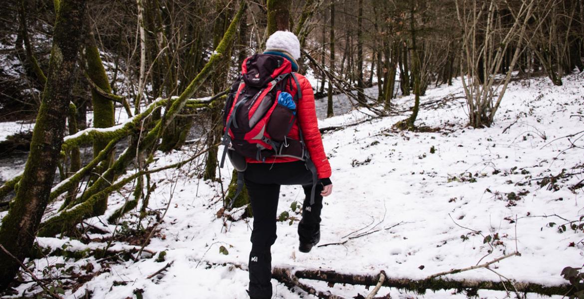 winterwandeling
