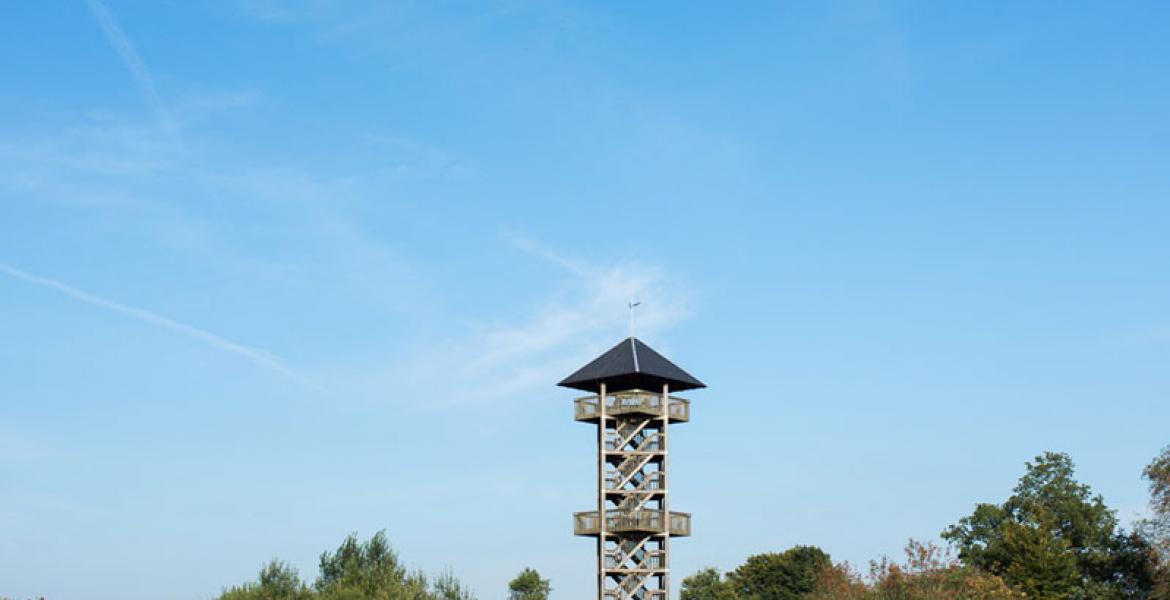 une promenade réussie avec les petits