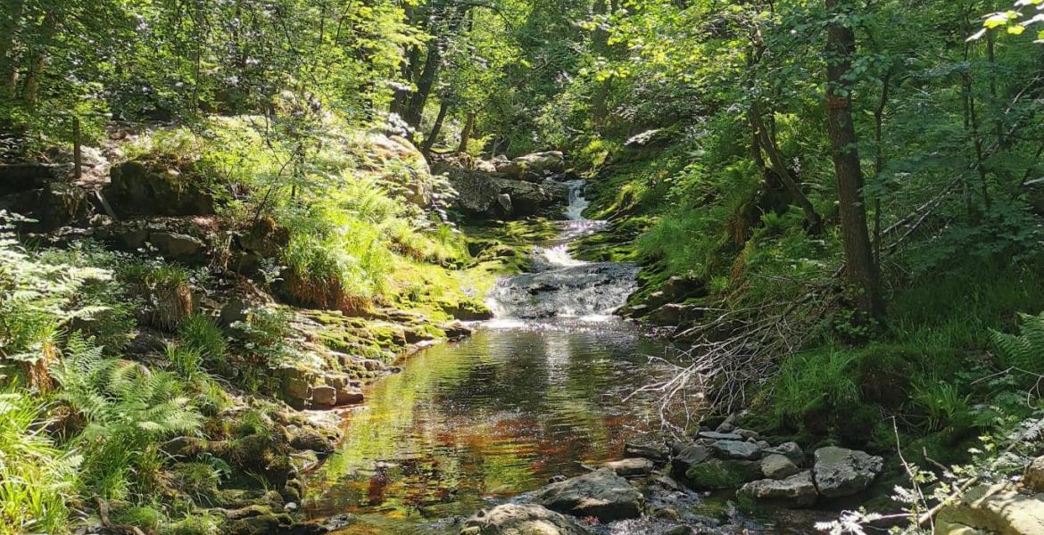 Wandeling langs de Hoegne vallei