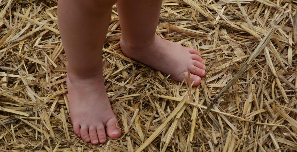 Une balade à pieds nus insolite avec vos enfants
