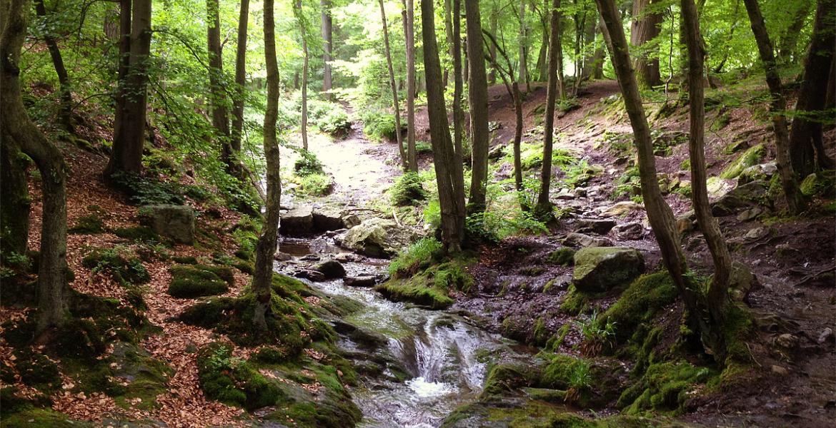 Rivière Ninglinspo Aywaille