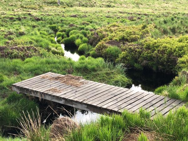 Balade Hautes fagnes