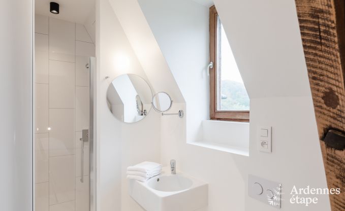 Ferienhaus Anh�e 24/26 Pers. Ardennen, cl� verte-label