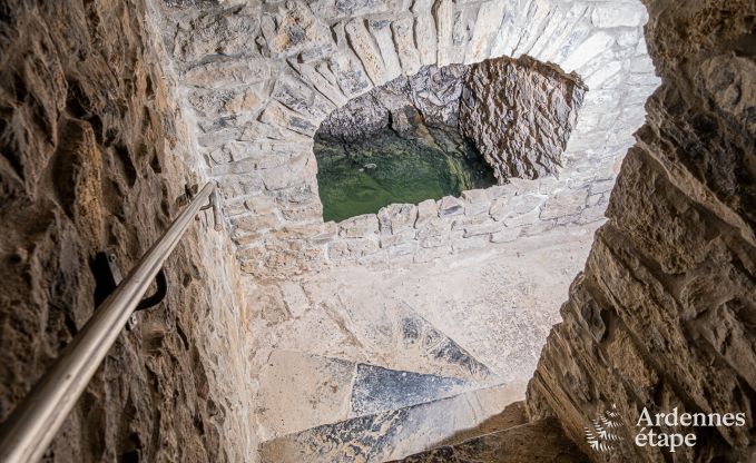 Ferienhaus Anh�e 15 Pers. Ardennen