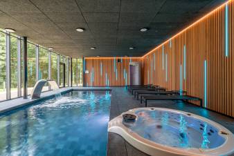 Luxurises Schloss in Aubel fr 22 mit Schwimmbad, Sauna, Hammam, Billard