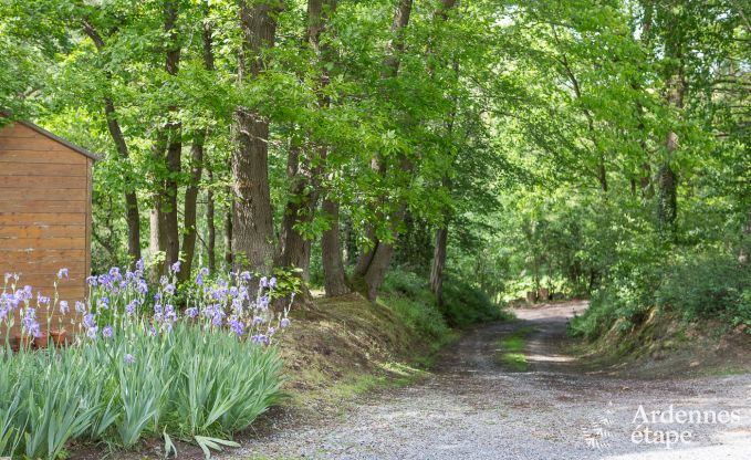 Luxusvilla Aubel 11 Pers. Ardennen Wellness