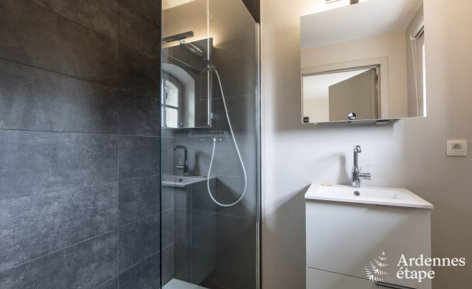 Ferienhaus Aywaille 8/9 Pers. Ardennen