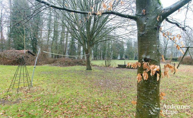 Ferienhaus Aywaille 14 Pers. Ardennen Wellness