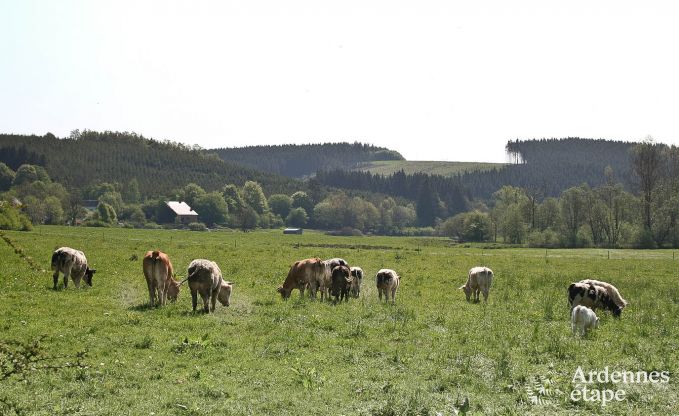 Ferienhaus Bastogne 9 Pers. Ardennen