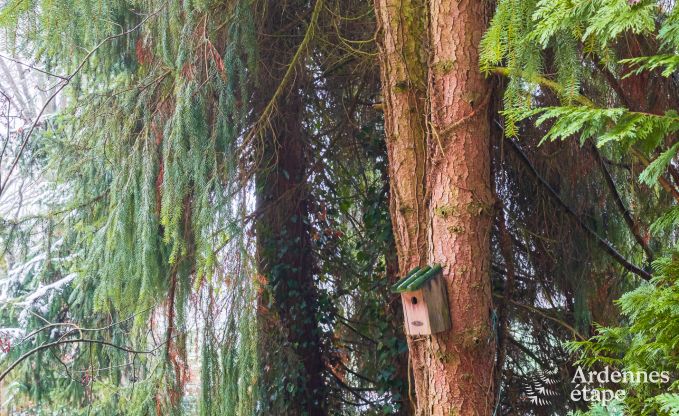 Ferienhaus Bastogne 4 Pers. Ardennen Behinderten gerecht