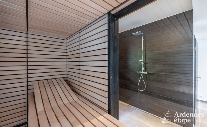 Luxusvilla Bastogne 12 Pers. Ardennen Wellness