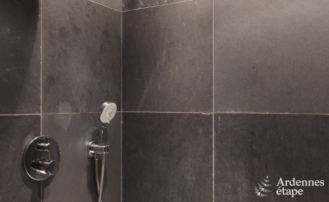 Schloss Beauraing 6 Pers. Ardennen