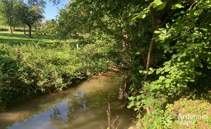 Charmantes und gerumiges Ferienhaus mit Pool in Beauraing, Ardennen