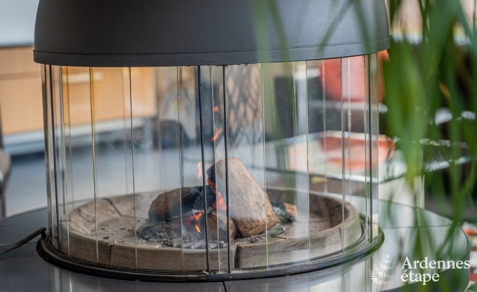 Charmantes und gerumiges Ferienhaus mit Pool in Beauraing, Ardennen