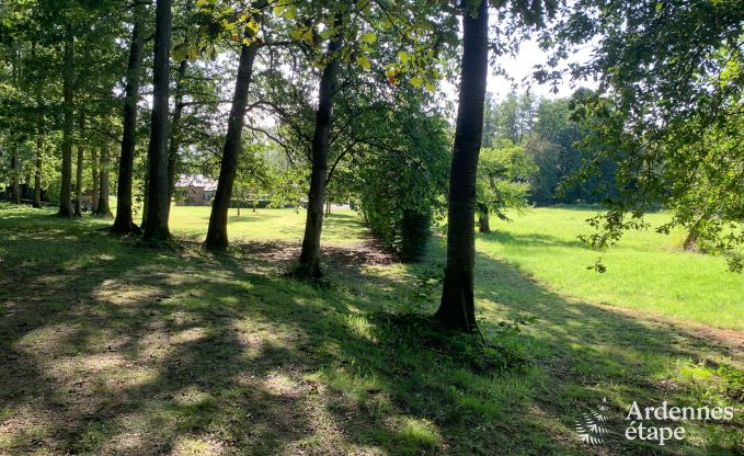 Charmantes und gerumiges Ferienhaus mit Pool in Beauraing, Ardennen