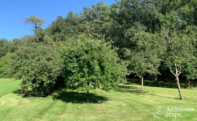 Charmantes und gerumiges Ferienhaus mit Pool in Beauraing, Ardennen