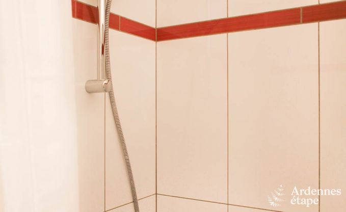 Ferienhaus Bertrix (Jehonville) 11 Pers. Ardennen Behinderten gerecht