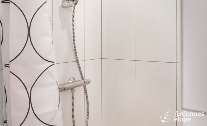 Ferienhaus Bertrix (Jehonville) 10 Pers. Ardennen