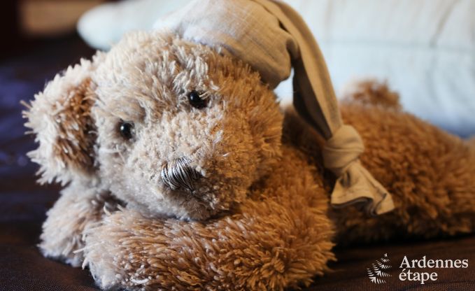 Ferienhaus Bertrix 12 Pers. Ardennen