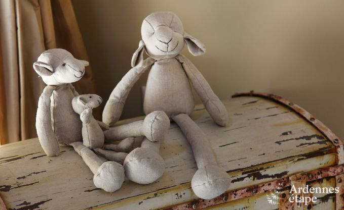 Ferienhaus Bertrix 12 Pers. Ardennen