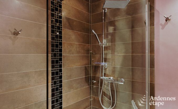 Ferienhaus Bertrix 9 Pers. Ardennen Wellness