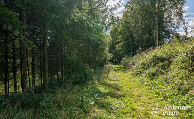 Ferienhaus Bertrix 4 Pers. Ardennen Wellness