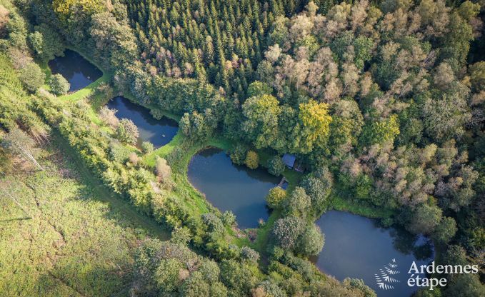 Ferienhaus Bertrix 4 Pers. Ardennen Wellness