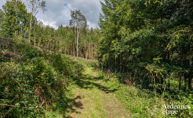 Ferienhaus Bertrix 4 Pers. Ardennen Wellness