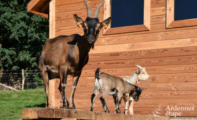 Urlaub auf dem Bauernhof Bertrix 4 Pers. Ardennen