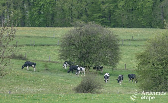 Urlaub auf dem Bauernhof Bertrix 4 Pers. Ardennen
