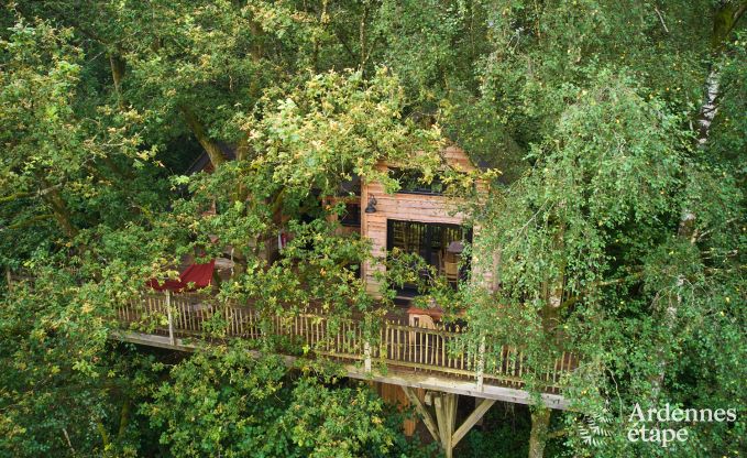 auergewhnliche Ferienwohnung Bertrix 4/6 Pers. Ardennen