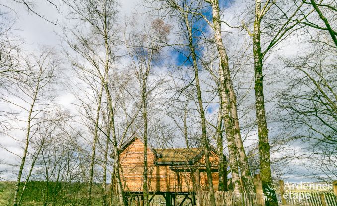 auergewhnliche Ferienwohnung Bertrix 4/6 Pers. Ardennen