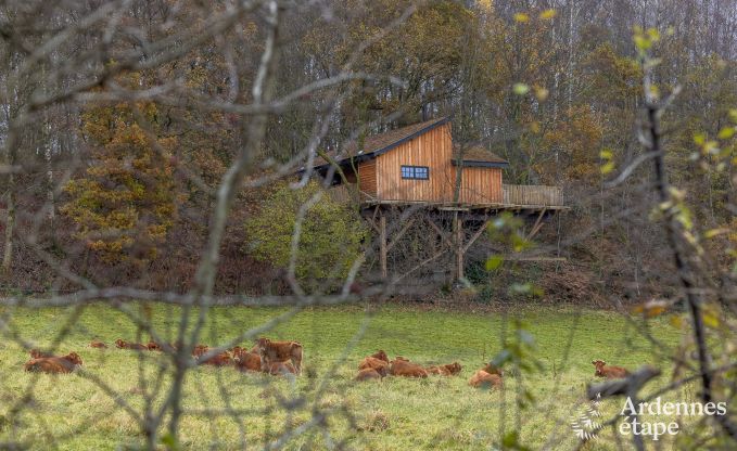 auergewhnliche Baumhaus in Bertrix, Ardennen