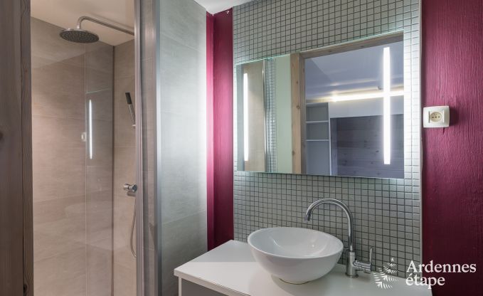 Ferienhaus Bouillon 18 Pers. Ardennen Schwimmbad Wellness