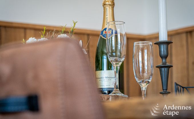 Charmantes Ferienhaus in Bllingen: Ferienhaus fr 4 Personen mit Sauna, privatem Garten und Nhe zu Naturschutzgebieten