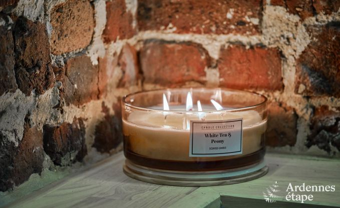 Charmantes Ferienhaus f�r 5 Personen in Chimay: liegt an einem Fluss, mit Terrasse und Aussicht, Pelletofen