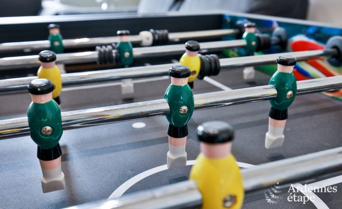 Ferienhaus Ciney 15 Pers. Ardennen