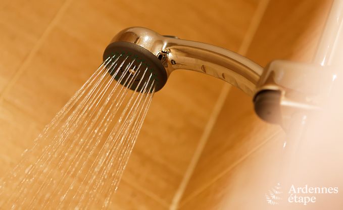 Ferienhaus Ciney 24 Pers. Ardennen Behinderten gerecht