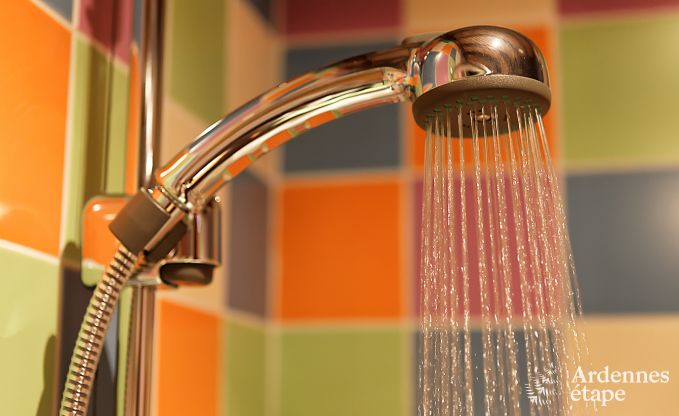 Ferienhaus Ciney 24 Pers. Ardennen Behinderten gerecht