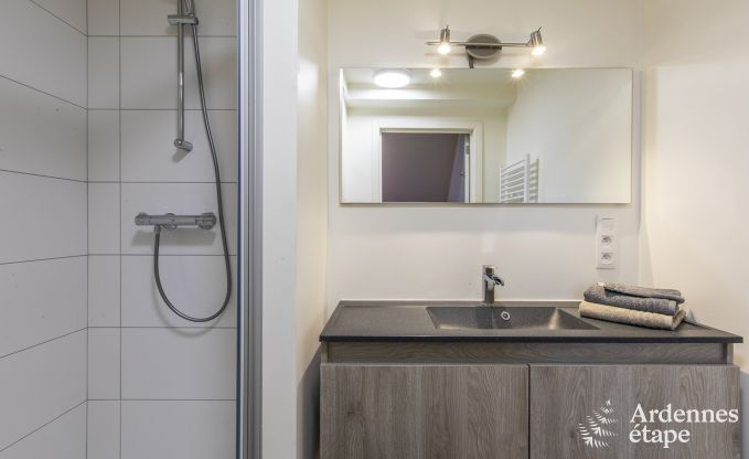 Ferienhaus Ciney 12 Pers. Ardennen