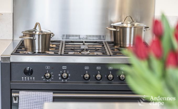 Ferienhaus Ciney 12 Pers. Ardennen