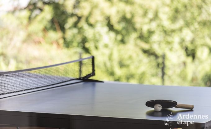 Luxusvilla Ciney 14 Pers. Ardennen Wellness Behinderten gerecht