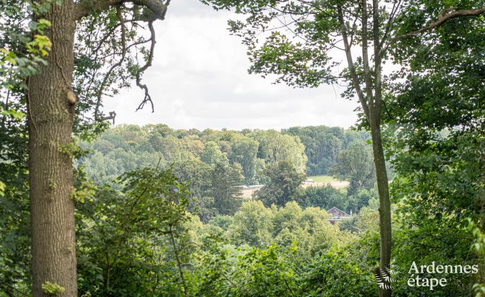 Ferienhaus Clavier 12 Pers. Ardennen Wellness