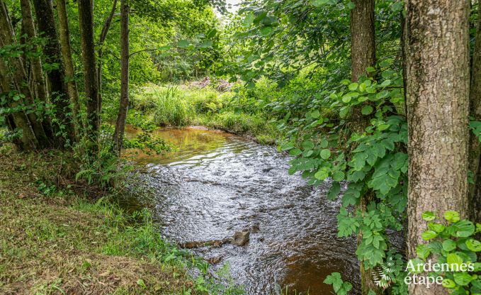 Ferienhaus Couvin 8/9 Pers. Ardennen Schwimmbad Wellness Behinderten gerecht