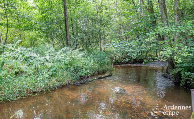 Ferienhaus Couvin 8/9 Pers. Ardennen Schwimmbad Wellness Behinderten gerecht