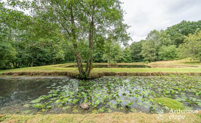 Ferienhaus Couvin 8/9 Pers. Ardennen Schwimmbad Wellness Behinderten gerecht