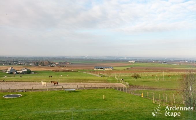 Ferienhaus Dalhem 15 Pers. Ardennen