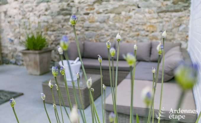 Ferienhaus Dinant (Hastiere) 8 Pers. Ardennen Schwimmbad